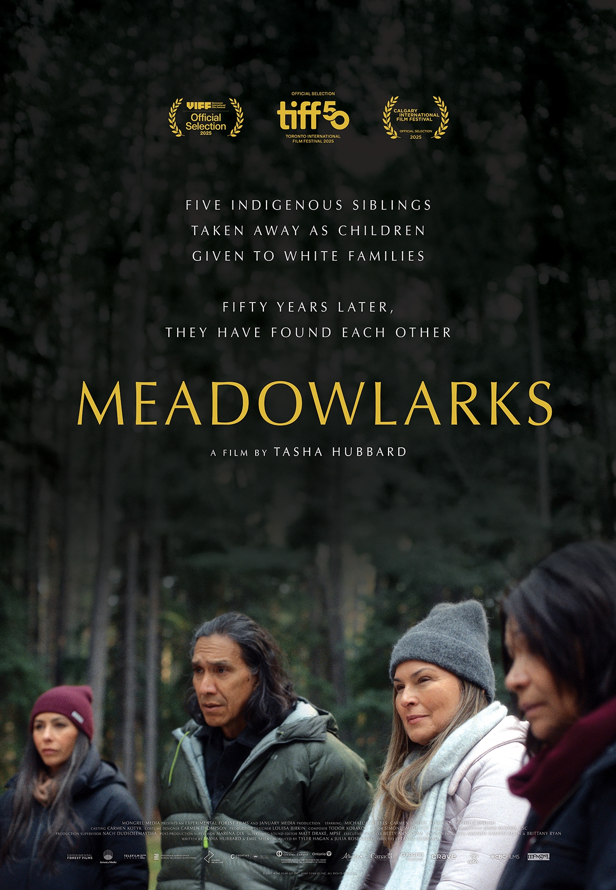 Meadowlarks Poster